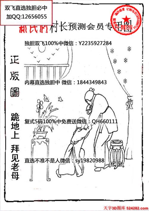 正版独胆王彩吧图库,设计策略快速解答_整版DKJ656.74