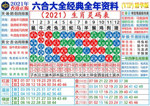 精准大小中特,设计策略快速解答_整版DKJ656.74