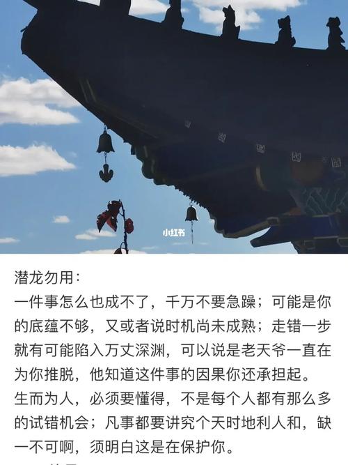 潜龙突围高清在线观看免费完整版,绝对策略计划研究_社交版40.12.0