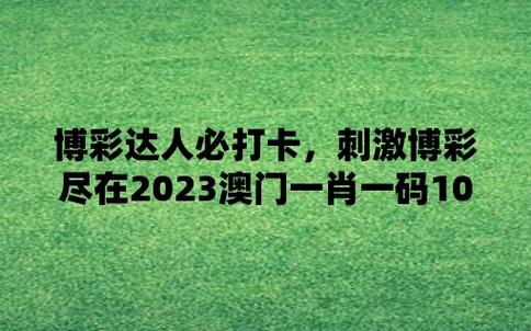 澳门一码一肖100,设计策略快速解答_整版DKJ656.74