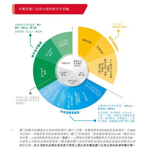 2024年澳门正版资料图,设计策略快速解答_整版DKJ656.74