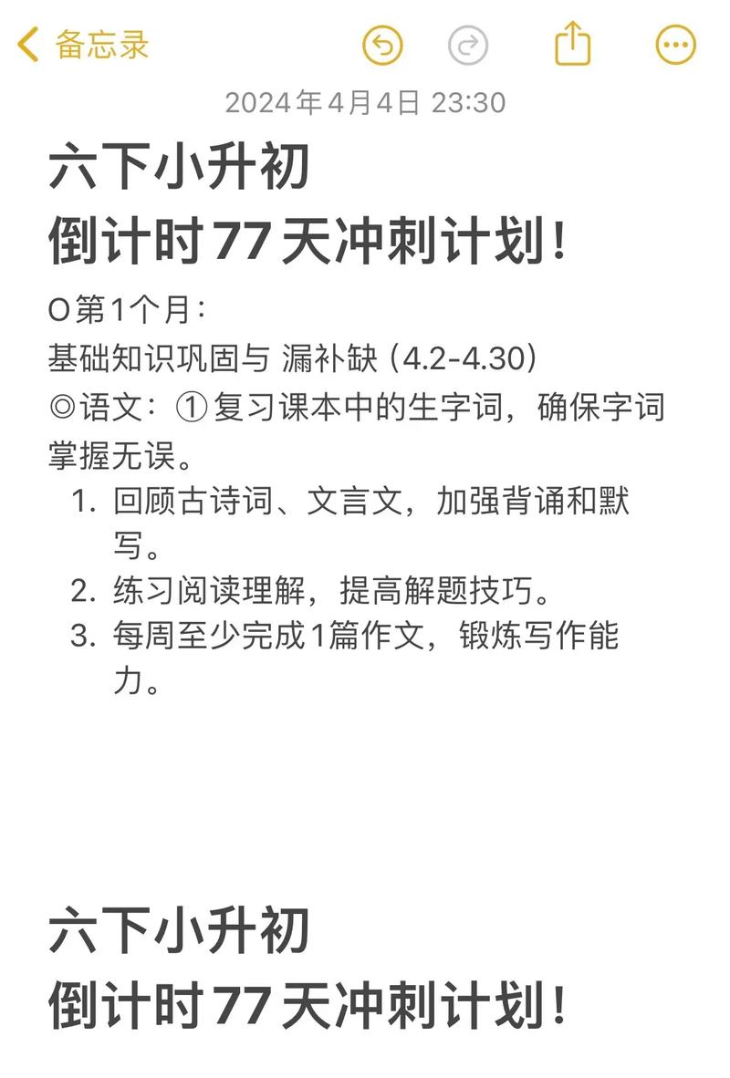 2024年12月4日 第3页