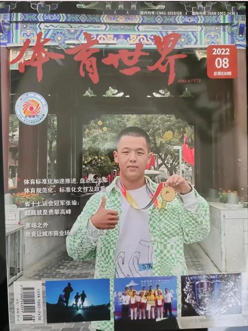 中国体育类期刊大全,设计策略快速解答_VR型43.237