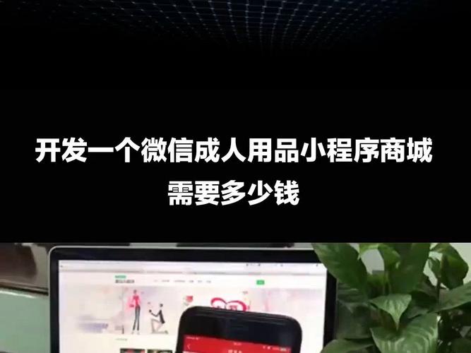 成人女性用品多少钱,设计策略快速解答_VR型43.237