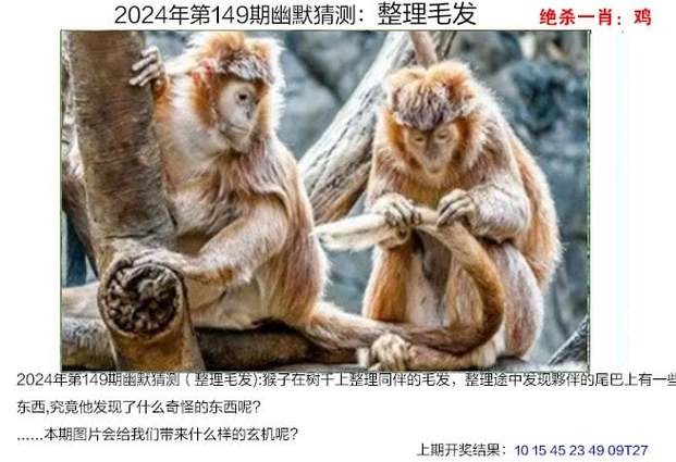 2024澳门天天彩免费资料大全,真实经典策略设计_VR型43.237