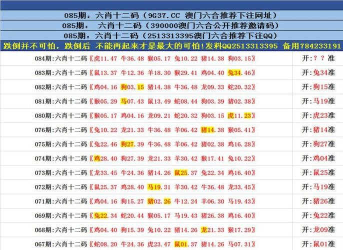 澳门六合历史记录,设计策略快速解答_整版DKJ656.74