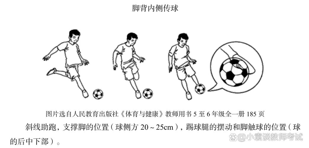 体育的教学方法有哪些