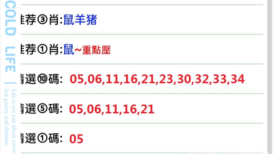 澳门特马资料期期准你来了我就不好了