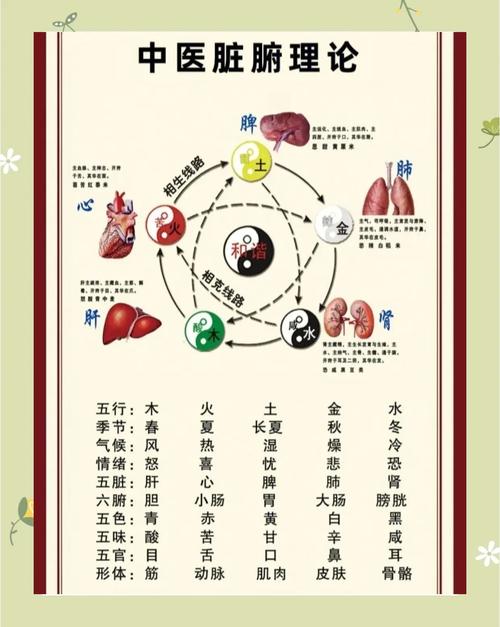 五行相生相克的精准排肖